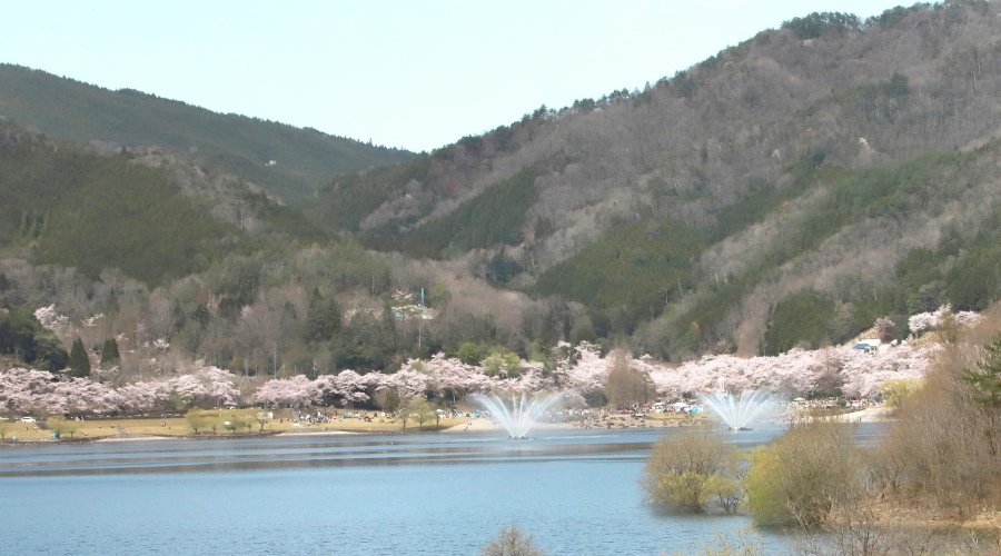 安芸高田市、土師ダム